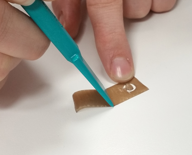 Yellotools WrapStick WingTeflon Carson installation 1